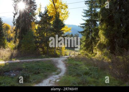 Paysage nature d'automne avec le pont au-dessus du ruisseau et arbres colorés, soleil de soleil sur la route de ski Bansko, Bulgarie Banque D'Images