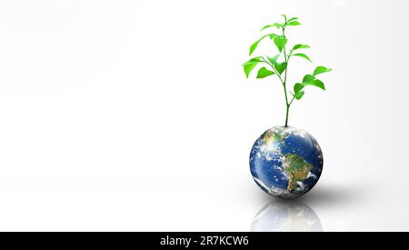 Plante poussant sur Terre. Isolé sur fond blanc. Ecologie mondiale, Journée mondiale de l'environnement, Journée mondiale de la Terre et concept de sauvegarde de l'environnement. Fourrure d'image Banque D'Images