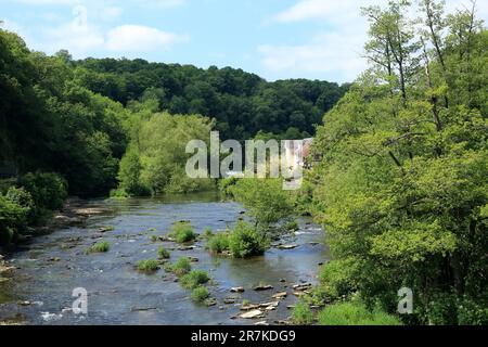 La rivière Teme à Ludlow, Shropshire, Angleterre, Royaume-Uni. Banque D'Images