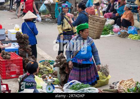 Bac Ha, Vietnam-avril 2023; vue d'un certain nombre de femmes de Flower Hmong et Giay sur le marché de bac Ha Dimanche où se rencontrent le plus souvent au commerce Banque D'Images