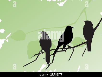 Illustration vectorielle des silhouettes d'oiseaux assis sur la branche Illustration de Vecteur