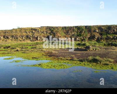Cabo de Praia, Açores, Tercerira Banque D'Images