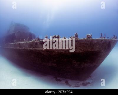 L'épave du P31 Patrol Boat à Comino, Malte Banque D'Images