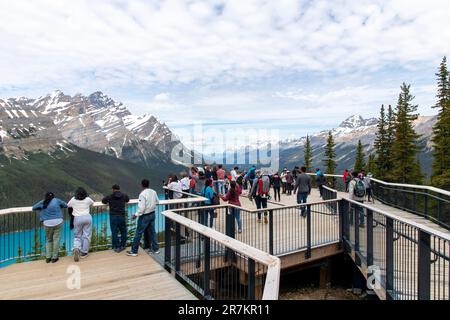 Lac Peyto, Alberta, Canada-août 2022; vue sur le point de vue supérieur du lac Peyto avec des touristes qui regardent l'eau turquoise alimentée par les glaciers dans le Cana Banque D'Images