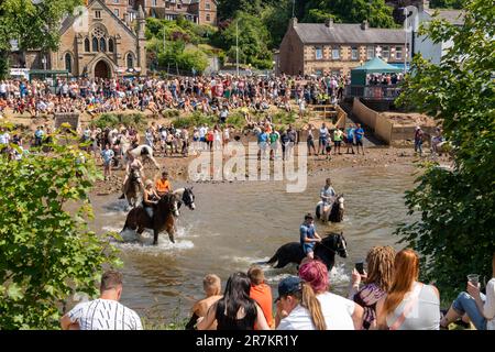 Appleby Horse Fair tradition de la communauté gitane et voyageur lavant leurs chevaux dans la rivière Eden sur Appleby-in-Westmorland, Royaume-Uni. Banque D'Images