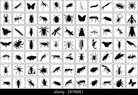 collection de bugs silhouette - vecteur Illustration de Vecteur