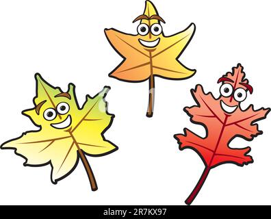 Trois feuilles d'automne de différents types communs dessinées dans un style de dessin animé amusant. Illustration de Vecteur