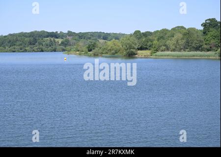 Un réservoir plein d'Ardenly à West Sussex le 16 juin 2023. Banque D'Images