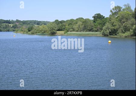 Un réservoir plein d'Ardenly à West Sussex le 16 juin 2023. Banque D'Images