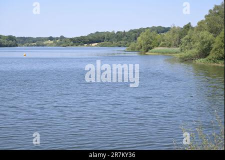 Un réservoir plein d'Ardenly à West Sussex le 16 juin 2023. Banque D'Images