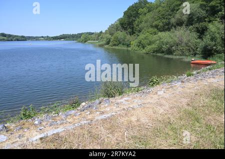 Un réservoir plein d'Ardenly à West Sussex le 16 juin 2023. Banque D'Images