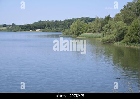 Un réservoir plein d'Ardenly à West Sussex le 16 juin 2023. Banque D'Images