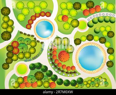 Plan coloré de plantes décoratives de jardin Illustration de Vecteur