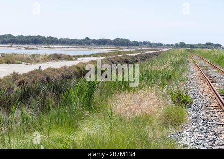 Travaux de sel, usine industrielle avec des piles blanches de sel de mer de Camargue et des lacs salés roses, Aigues-mortes, Gard, région occitanie du sud de la France Banque D'Images