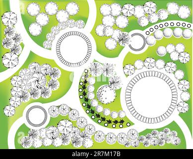 Plan coloré de plantes décoratives de jardin Illustration de Vecteur