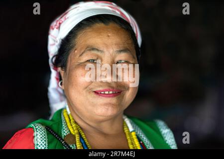 Portrait d'une femme de la tribu galo dans ses vêtements traditionnels posant dans sa maison traditionnelle faite de bambous et de palmiers, assam, inde Banque D'Images