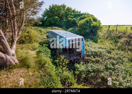 Une fourgonnette bleue surcultivée, abandonnée et en voie de désintégration a été jetée à Marloes, un petit village près de la côte de Pembrokeshire, dans le sud-ouest du pays de Galles, au Royaume-Uni Banque D'Images