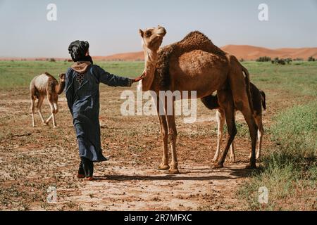 Berber et Camel : des compagnons du désert unis dans un vaisseau intemporel, s'aventurant à travers l'étendue aride avec grâce et un esprit d'aventure partagé. Banque D'Images