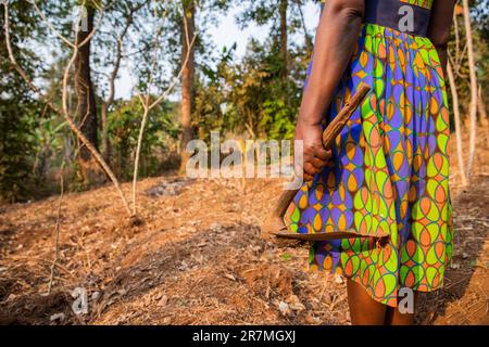 Gros plan de la houe tenue par une paysanne avant de creuser le champ en Afrique Banque D'Images
