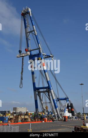 Den Helder, pays-Bas. 10 juin 2023. Une grue flottante lourde dans le port industriel de Den Helder. Photo de haute qualité Banque D'Images