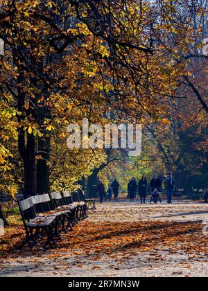 Parc Ujazdowski, Varsovie, Voïvodeship de Masovian, Pologne Banque D'Images