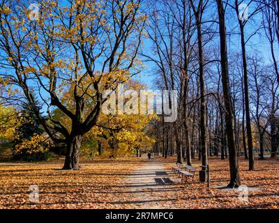 Saxon Garden, Varsovie, Voïvodeship de Masovie, Pologne Banque D'Images