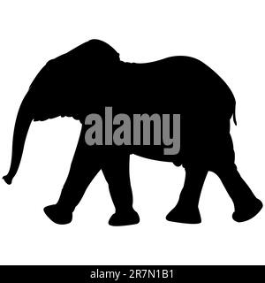 silhouette de bébé éléphant isolée sur fond blanc, illustration artistique abstraite Illustration de Vecteur