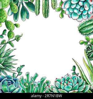 Cadre lumineux de cactus et de succulents. Aquarelle illustration des succs dessinée à la main. Peut être utilisé pour les cartes de mariage et les invitations, le jour de la mère an Banque D'Images