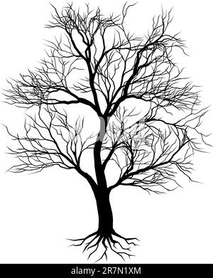 Un vieil arbre dessiné à la main illustration silhouette Illustration de Vecteur