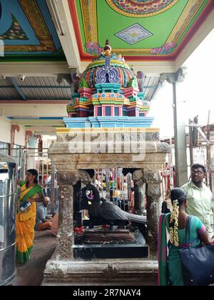 collines de palani, temple de palani murugan, temple de palani, boutiques à palani, tête tonsuring à palani, offre tonsuring dans palany, temple tamilnadu, hindou, muruga Banque D'Images