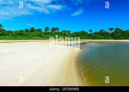 Rivière sortant du milieu de la végétation indigène et allant vers la mer sur le sable à la plage de Sargi à Serra Grande, Bahia Banque D'Images