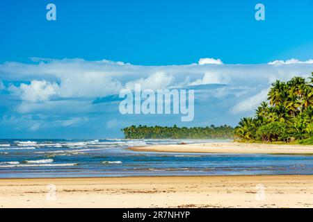 Plage de Sargi entourée de cocotiers et de végétation indigène à Serra Grande sur la côte sud de Bahia Banque D'Images