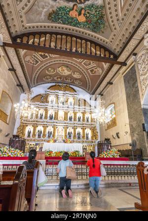 Cebu ville,Cebu,Philippines-17 janvier 2023: Beaucoup de catholiques philippins dévorés,viennent à genoux,prient et remercient,à ce bâtiment important religieusement,f Banque D'Images