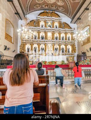 Cebu ville,Cebu,Philippines-17 janvier 2023: Beaucoup de catholiques philippins dévorés,viennent à genoux,prient et remercient,à ce bâtiment important religieusement,f Banque D'Images