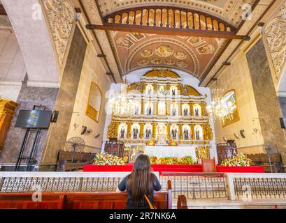 Cebu, Cebu, Philippines-17 janvier 2023: Beaucoup de catholiques philippins dévorés, viennent à genoux, prient et rendent grâce à l'autel, avec ses saints, ses anges, et Banque D'Images