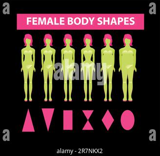 Formes de corps femelles. Ensemble de silhouettes pour femme à l'alimentation et à la mode Illustration de Vecteur