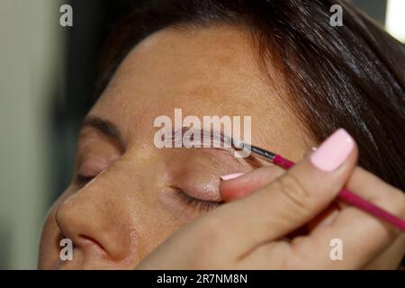 cosmétologue - maquilleur peint le henné sur des sourcils préalablement pluchés, dessinés, taillés dans un salon de beauté dans une séance de correction. Fac professionnel Banque D'Images