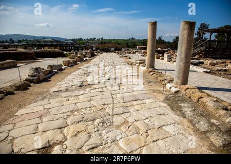 Sepphoris est un ancien village et un site archéologique situé dans la région centrale de Galilée en Israël, à 6 kilomètres au nord-ouest de Nazareth et surplombant la vallée de Beit Netofa. Le site possède un riche et diversifié héritage historique et architectural qui comprend hellénistique, juif antique, romain, byzantin, islamique, Crusader, les restes arabes et ottomans. Banque D'Images