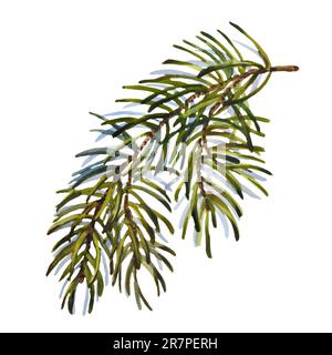 Ensemble de Noël aquarelle de branche de sapin. Éléments de vacances peints à la main avec plantes d'hiver isolées sur fond blanc. Motif floral Banque D'Images