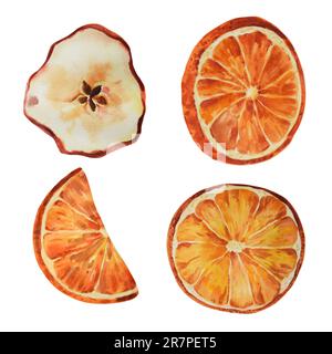 Tranches d'orange séchées isolées et tranches de pomme sur fond blanc. Illustrations aquarelles réalistes, collection d'aliments de noël Banque D'Images