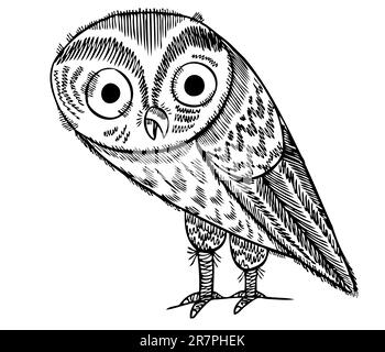 Hibou abstrait isolé sur blanc Illustration de Vecteur