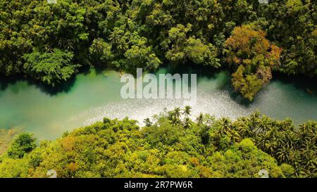 Rivière dans la jungle de montagne couverte d'arbres verts. Le fleuve Loboc dans une forêt tropicale dans un canyon de montagne. Bohol, Philippines. Banque D'Images