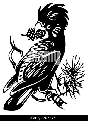 Cockatoo sur la succursale Illustration de Vecteur