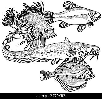 Poissons isolated on white Illustration de Vecteur