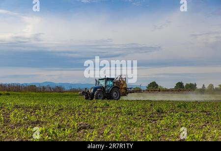 Champ de pulvérisation des tracteurs agricoles. Le tracteur fertilise les pesticides et les insecticides Banque D'Images