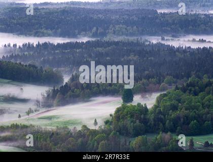 Brume printanière matinale au-dessus de la vallée, nuages et paysage de brouillard Banque D'Images