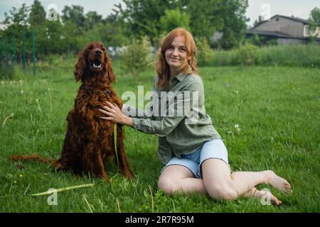 Red Irish Setter processus de formation en extérieur. Belle blonde souriante bonne jeune femme en short denim sont assis au verre et l'entraînement d'un mignon samoyed Banque D'Images