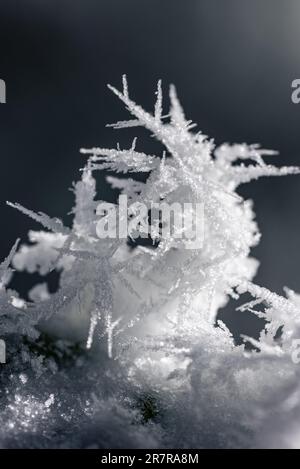 Une vue macro captivante qui capture la beauté complexe des flocons de neige individuels, uniques dans leur conception délicate et complexe. Banque D'Images