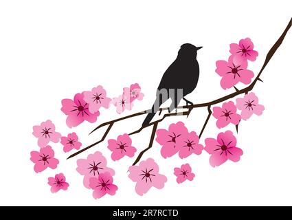 Illustration vectorielle de la branche d'oiseau et de fleur Illustration de Vecteur