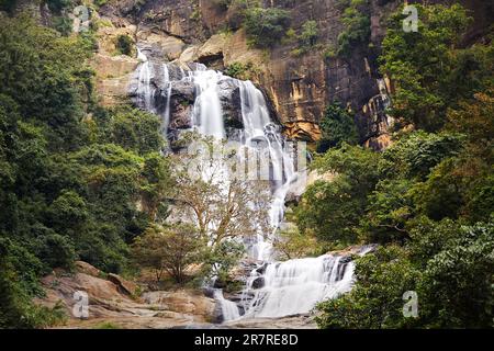 Cascade de haute cascade dans la nature pure. Chutes de Ravana près de la ville d'Ella au Sri Lanka. Banque D'Images